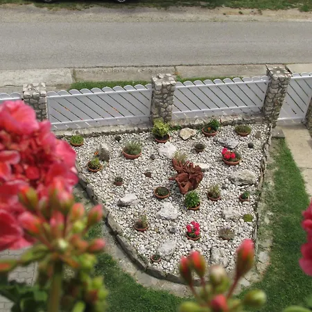 Betti Vendeghaz Альшопахок