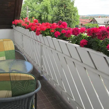 Апартаменты Betti Vendeghaz *