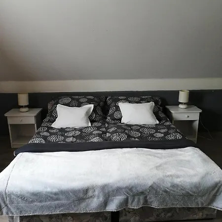Betti Vendeghaz Apartament *